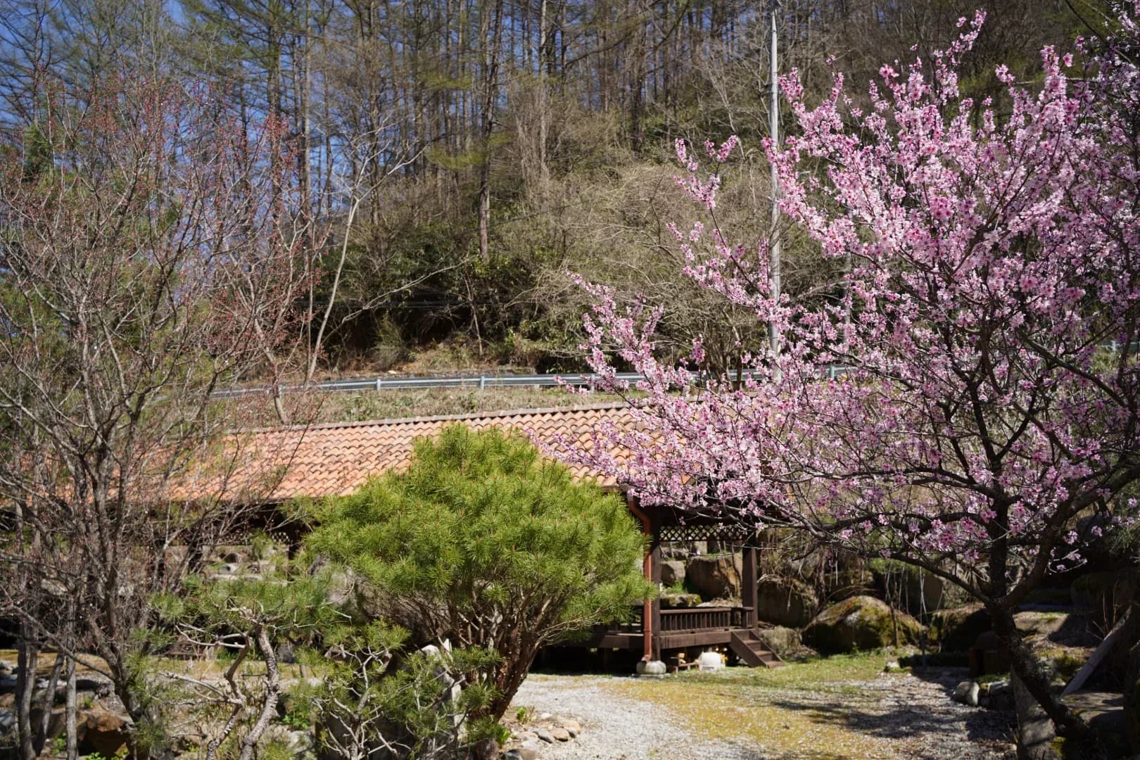 한